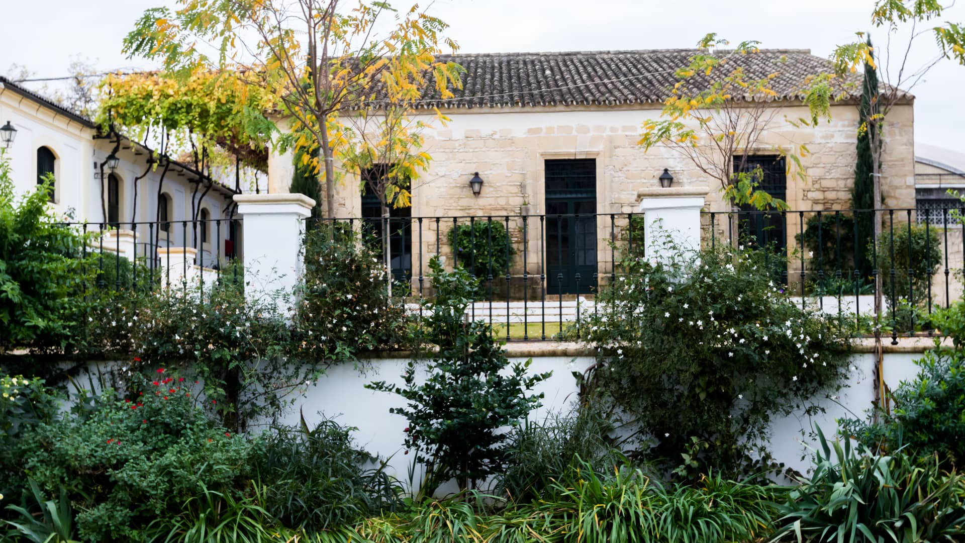 Paisajismo | Inés Parias