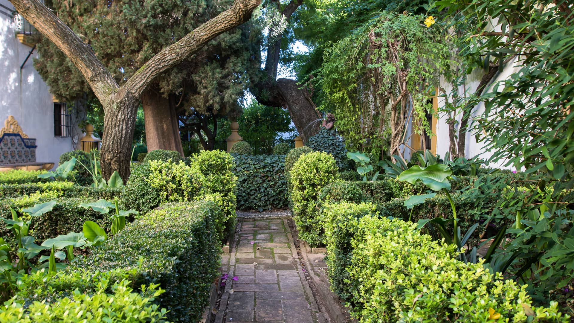 Paisajismo | Inés Parias
