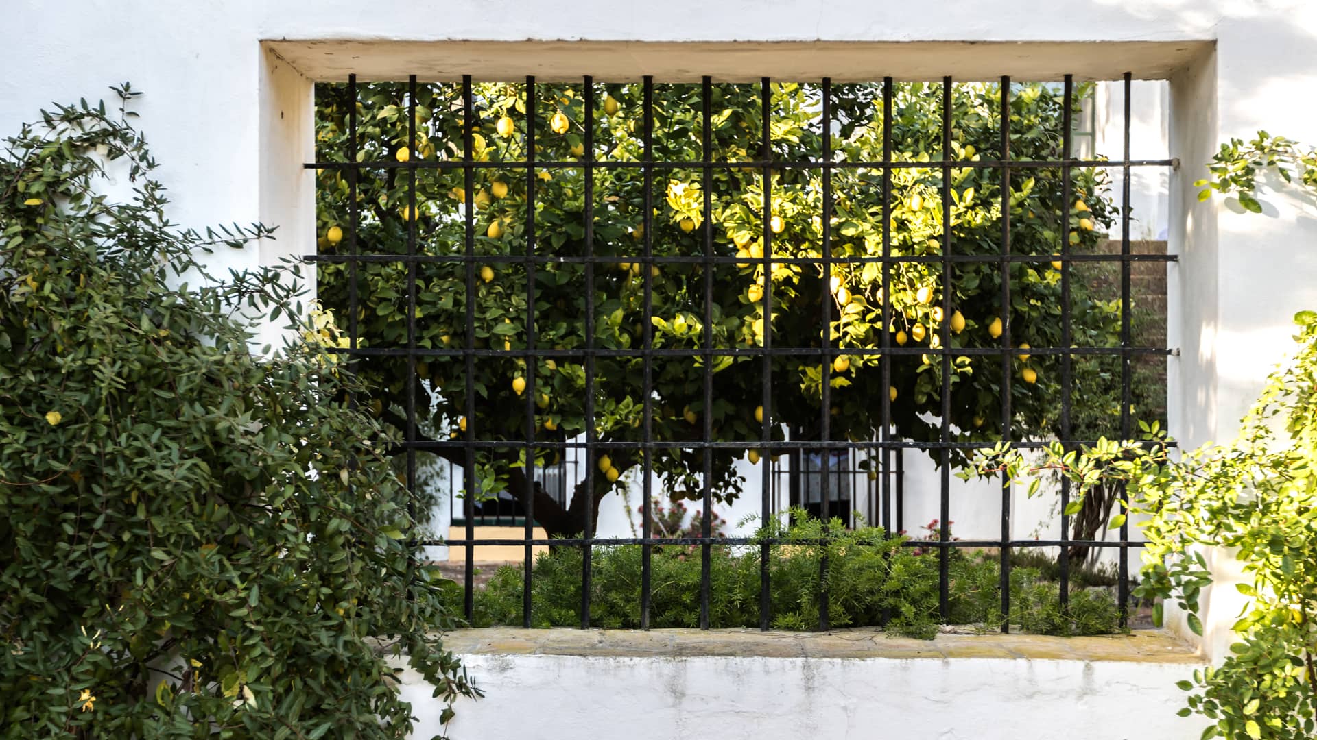 Paisajismo | Inés Parias