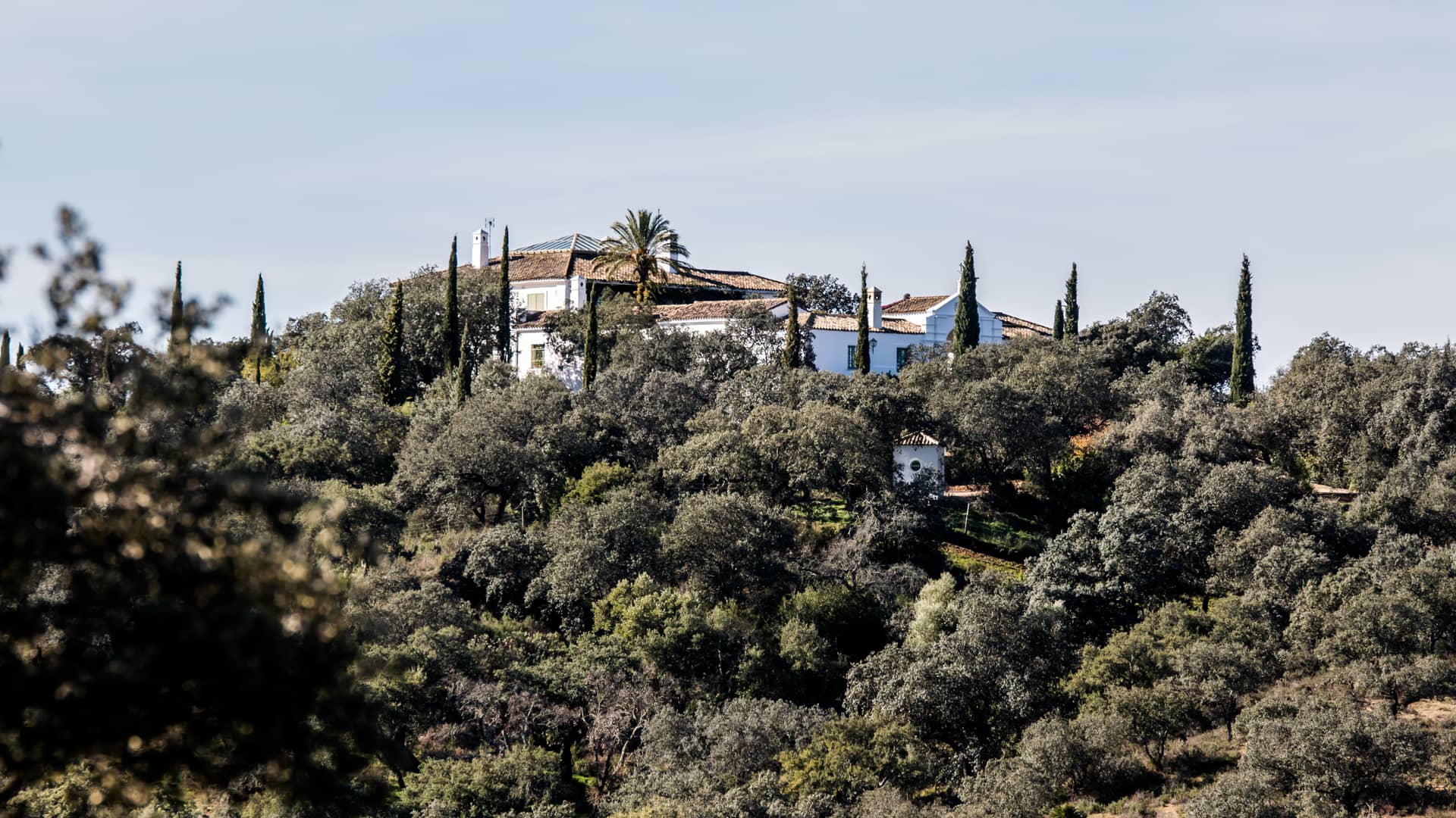 Paisajismo | Inés Parias
