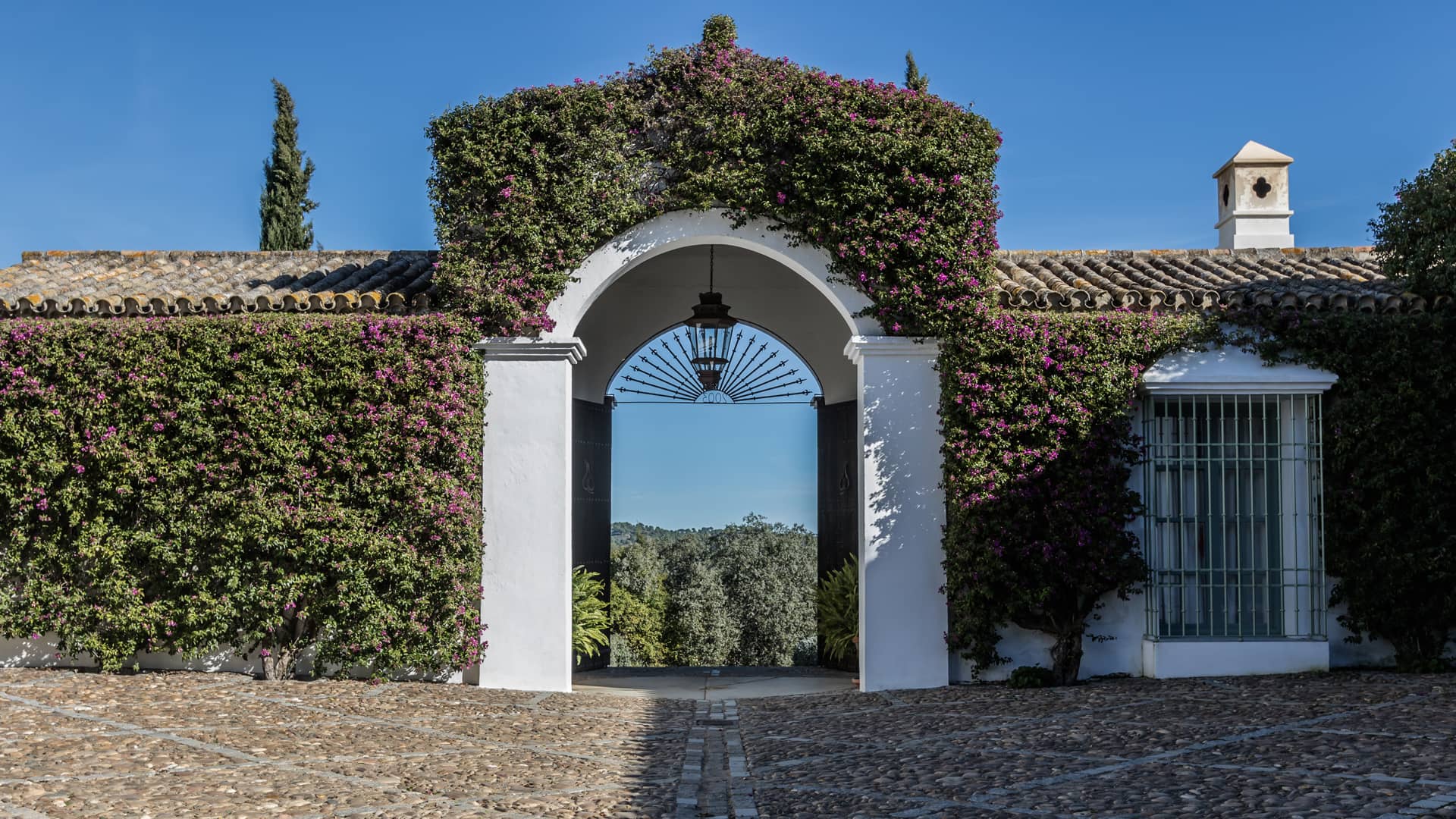 Paisajismo | Inés Parias
