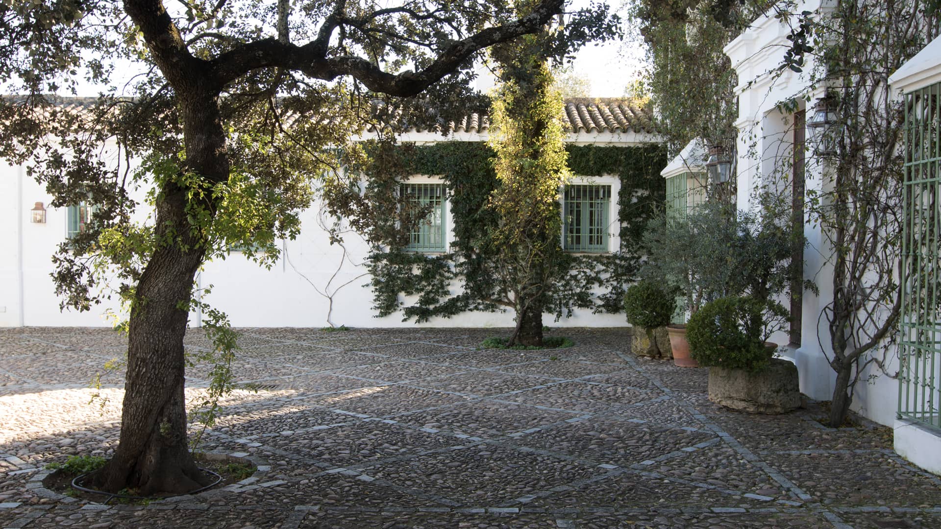 Paisajismo | Inés Parias